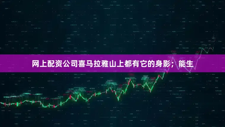 网上配资公司喜马拉雅山上都有它的身影；能生
